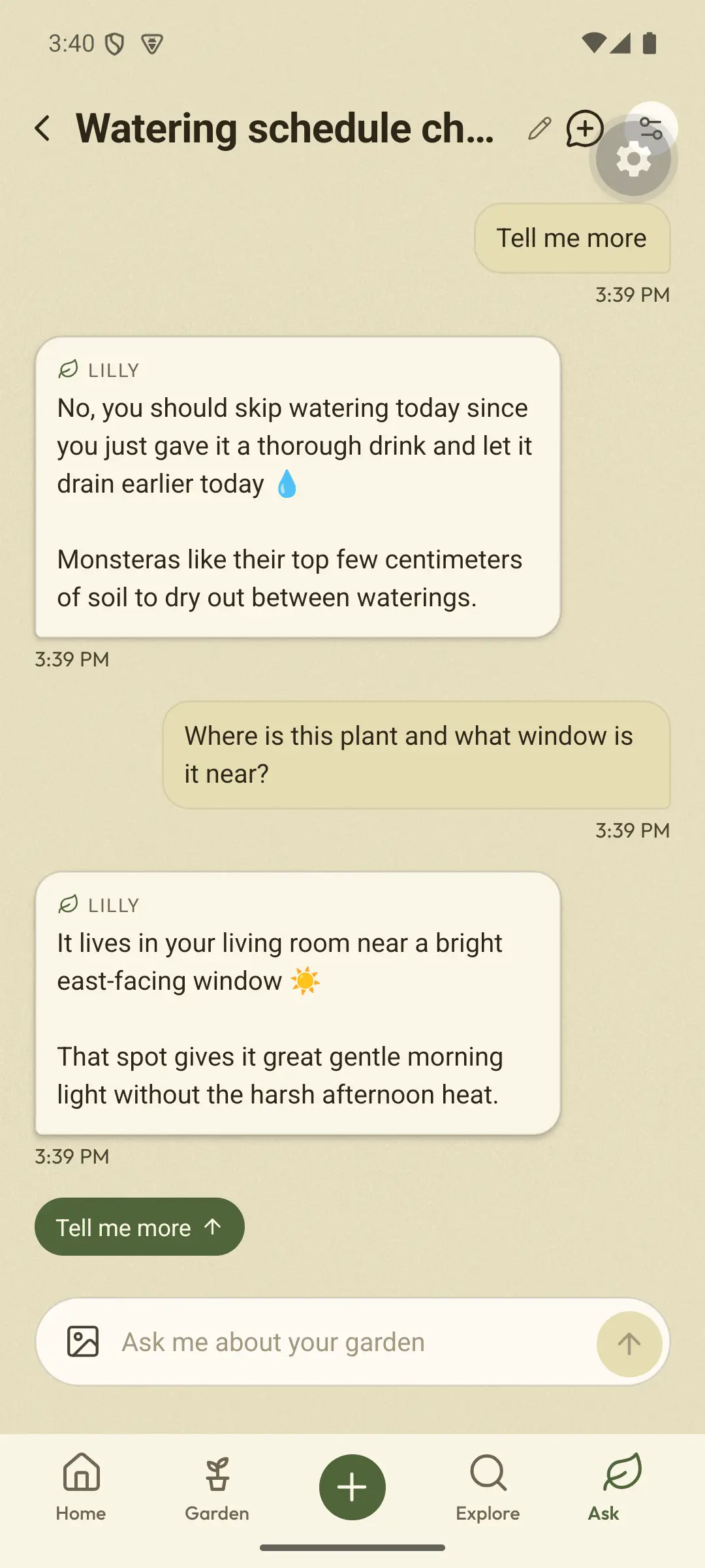 Real beta screen, from when the app was called Lilly. Conversation. Question: Where is this plant and what window is it near? Lilly: It lives in your living room near a bright east-facing window. That spot gives it great gentle morning light without the harsh afternoon heat. An earlier answer above it says to skip watering today after a thorough drink.